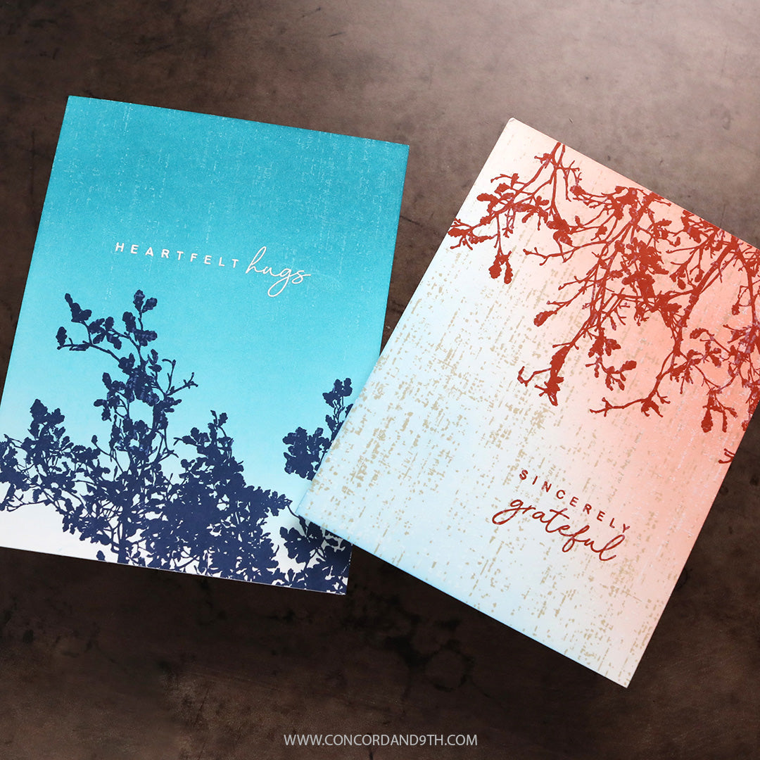 Calm Canopy Bundle