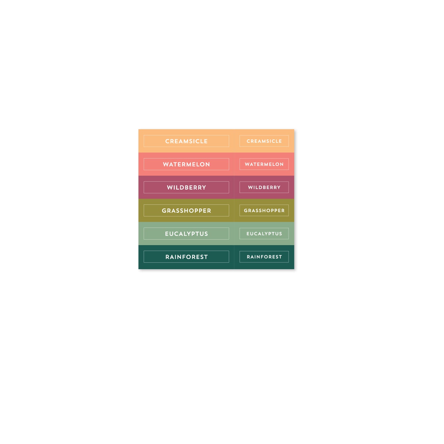 2024 Color Collection Ink Pad & Ink Cube Labels