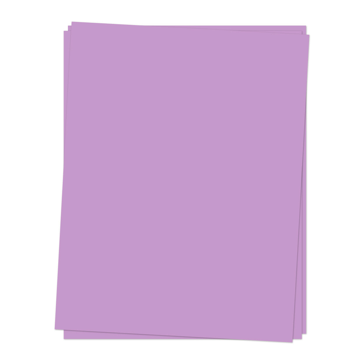 Cardstock: Aster