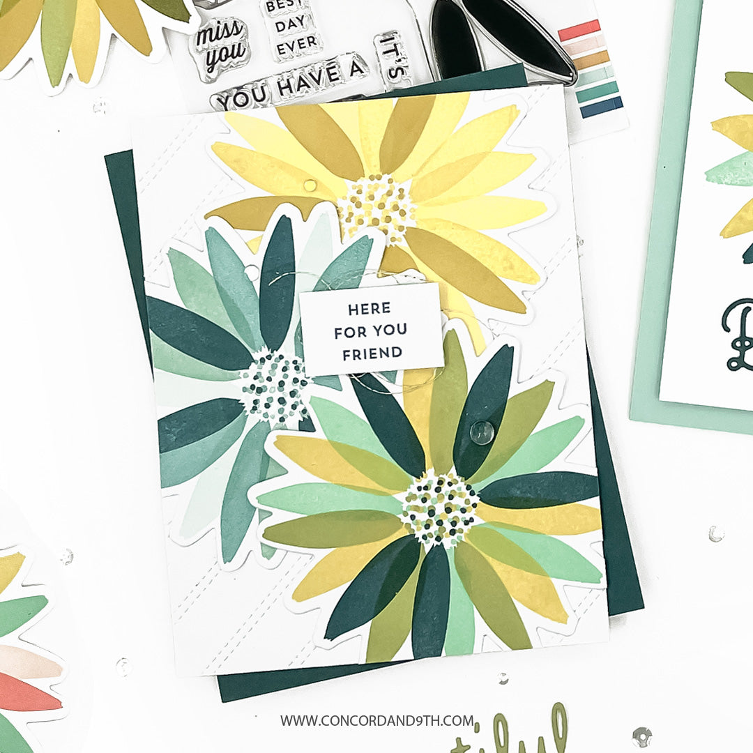 Daisy Bundle