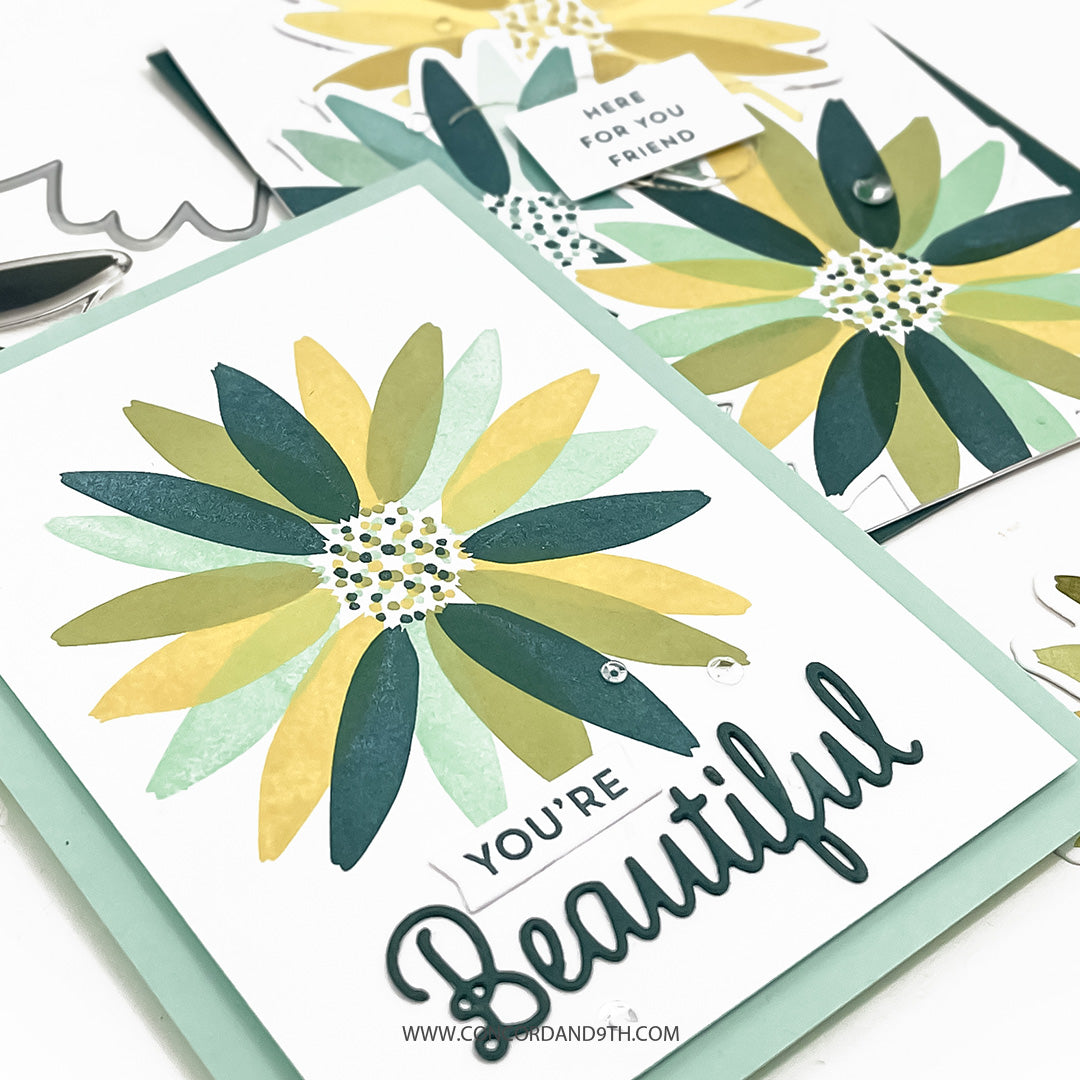 Daisy Bundle
