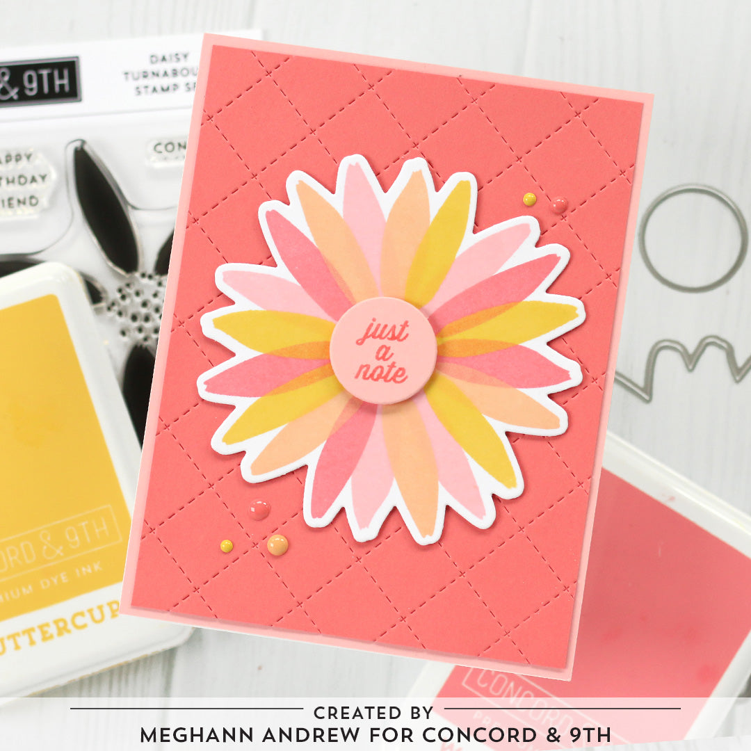 Daisy Bundle