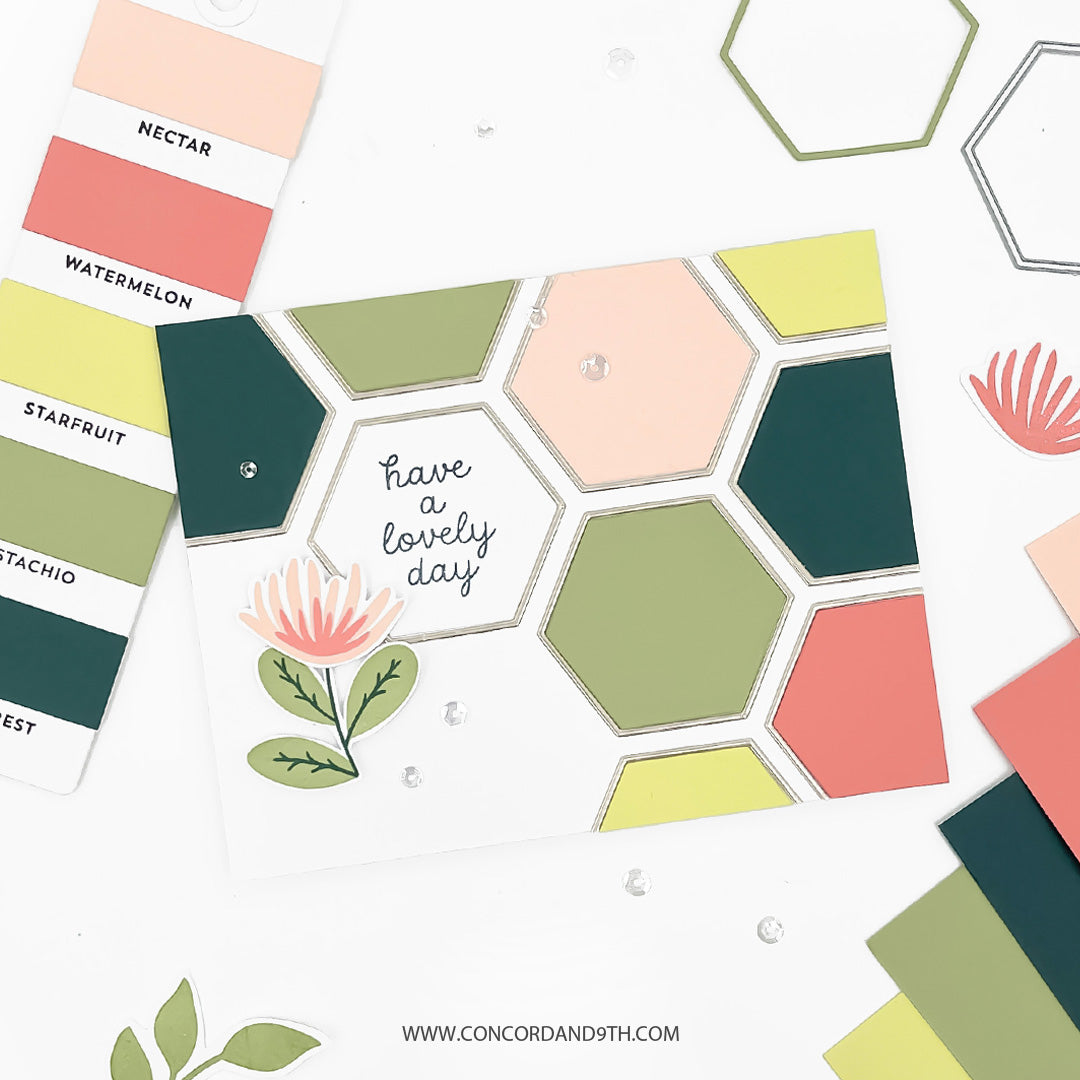 Wild Meadow Bundle