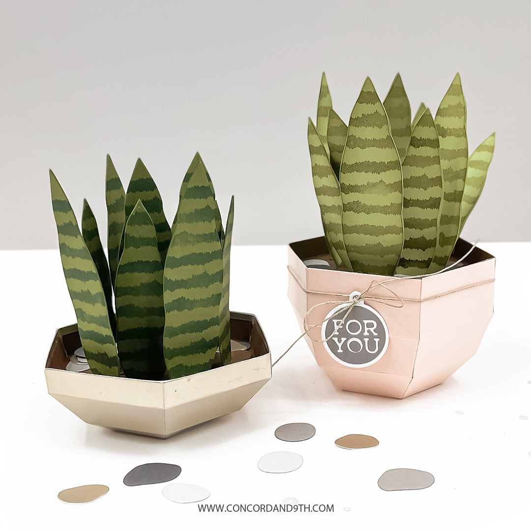 Fall Favors Bundle