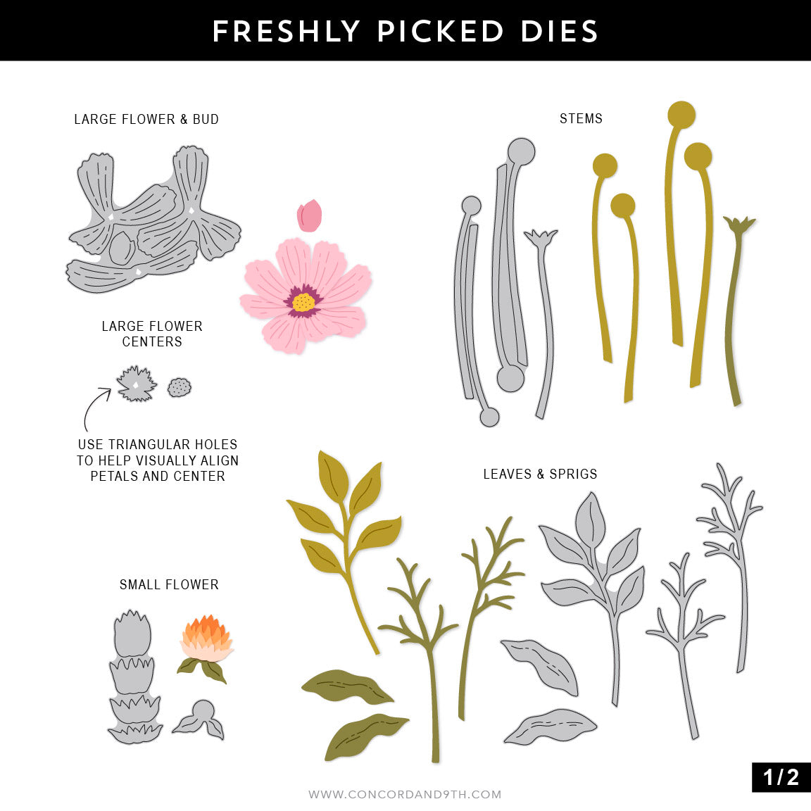 Just Picked Dies