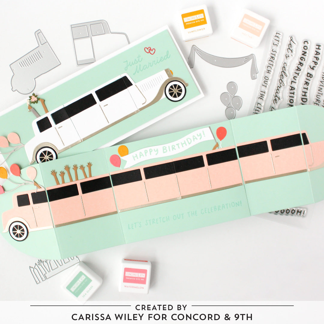 Limo Party Bundle