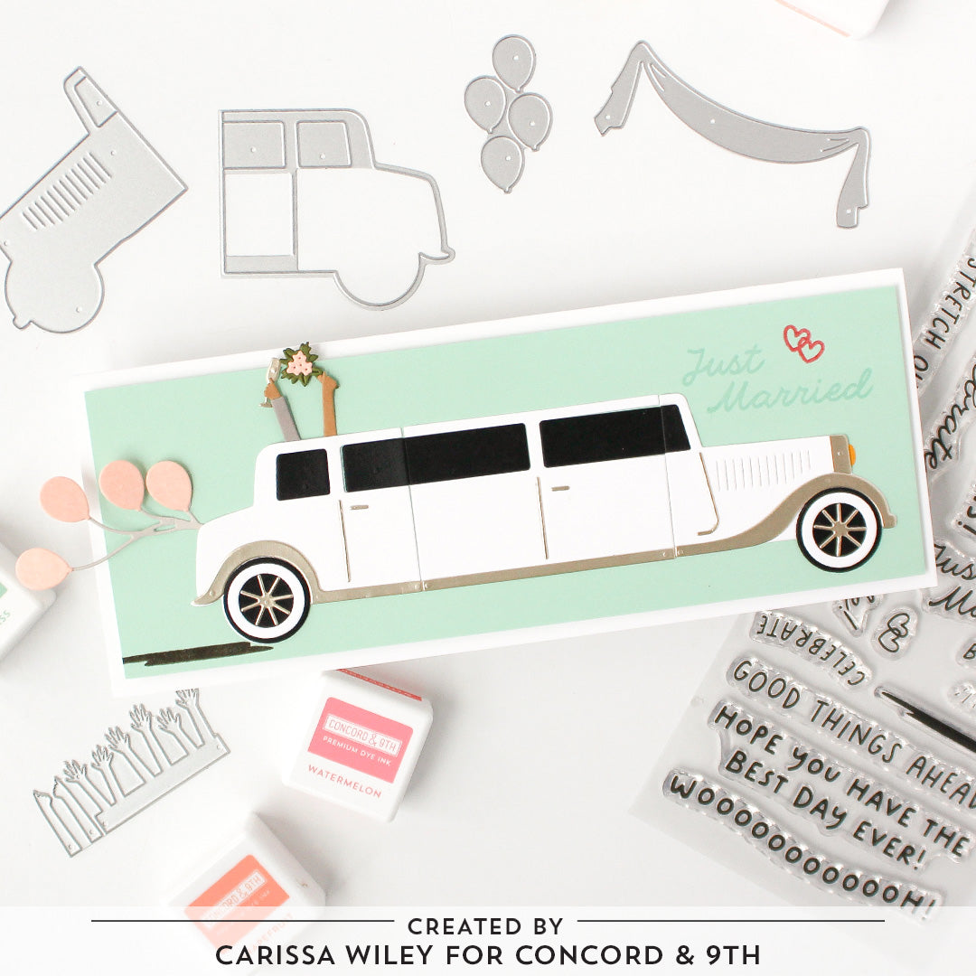 Limo Party Bundle