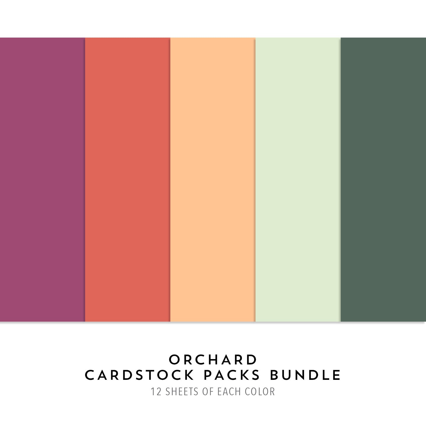 Orchard Cardstock Packs Bundle