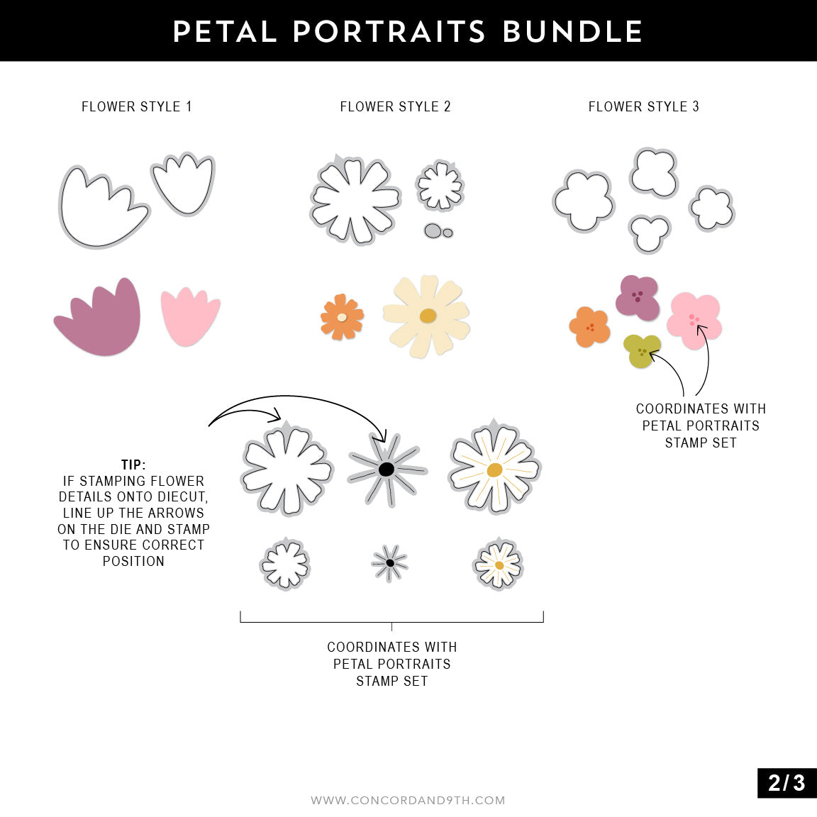 Petal Portraits Bundle