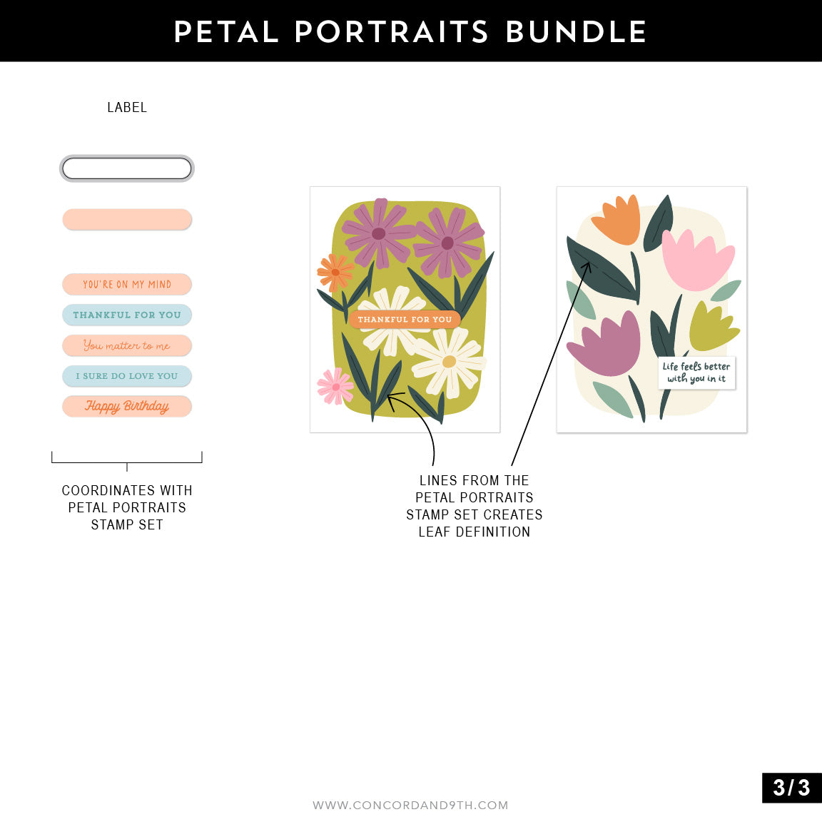 Petal Portraits Bundle