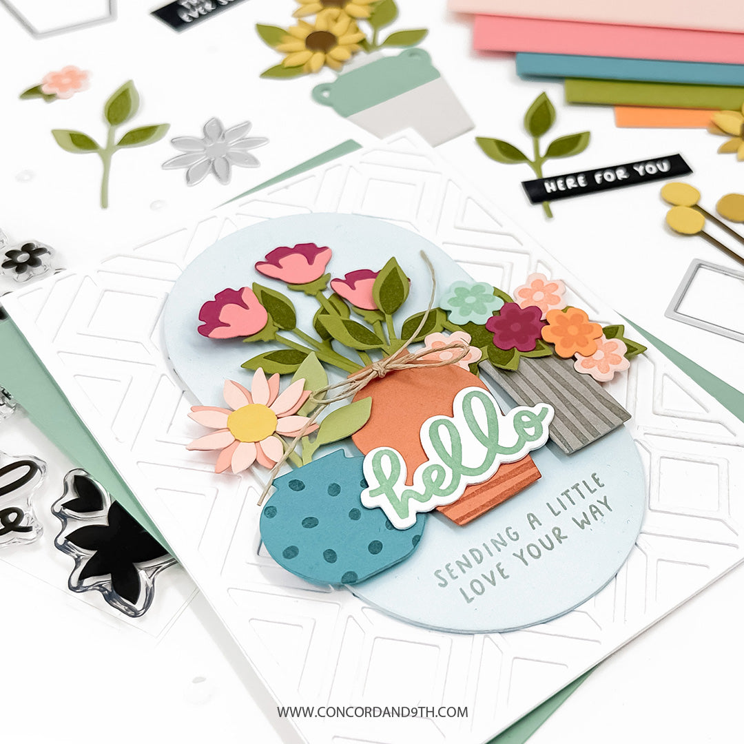 Petite Pots Bundle
