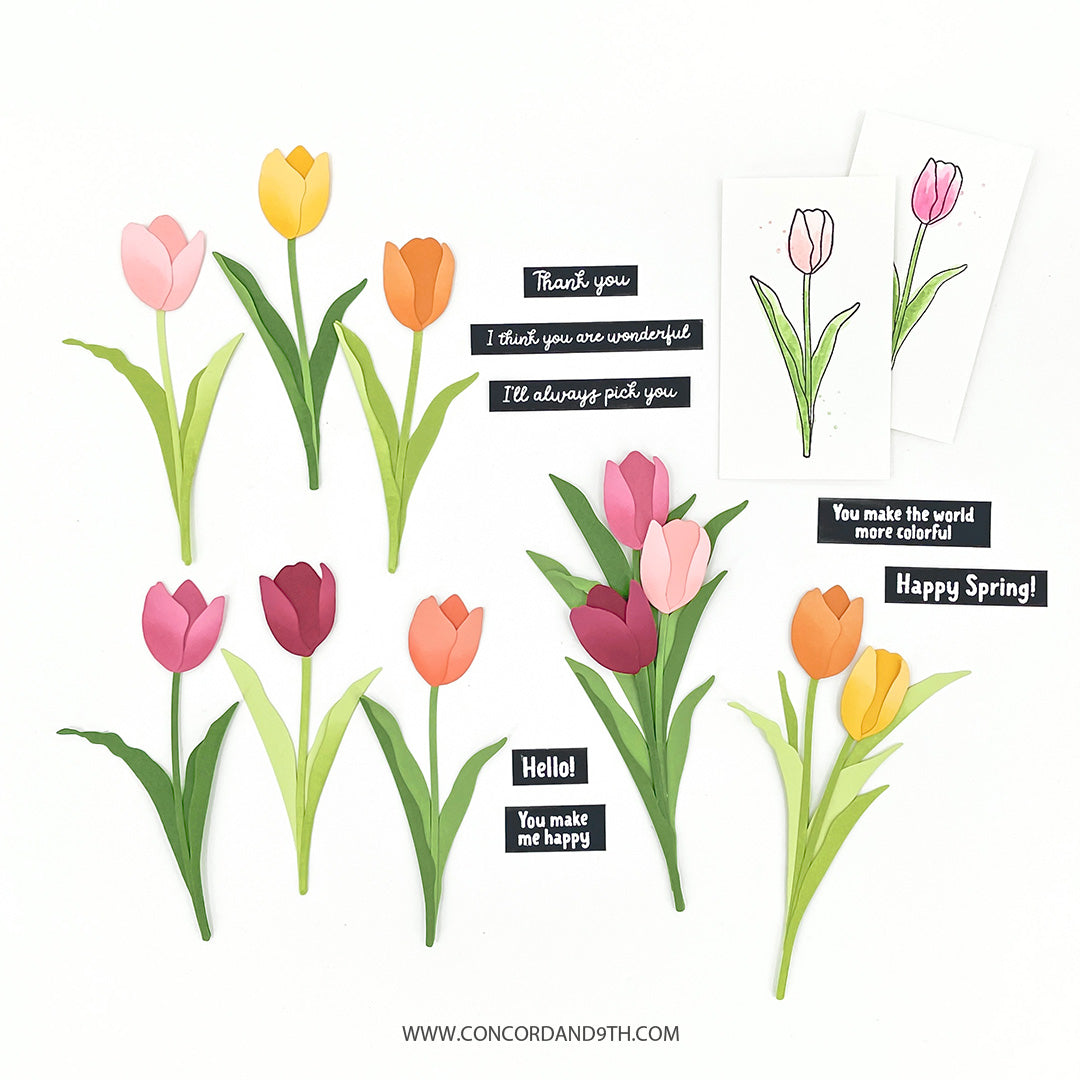 Tulip Festival Bundle