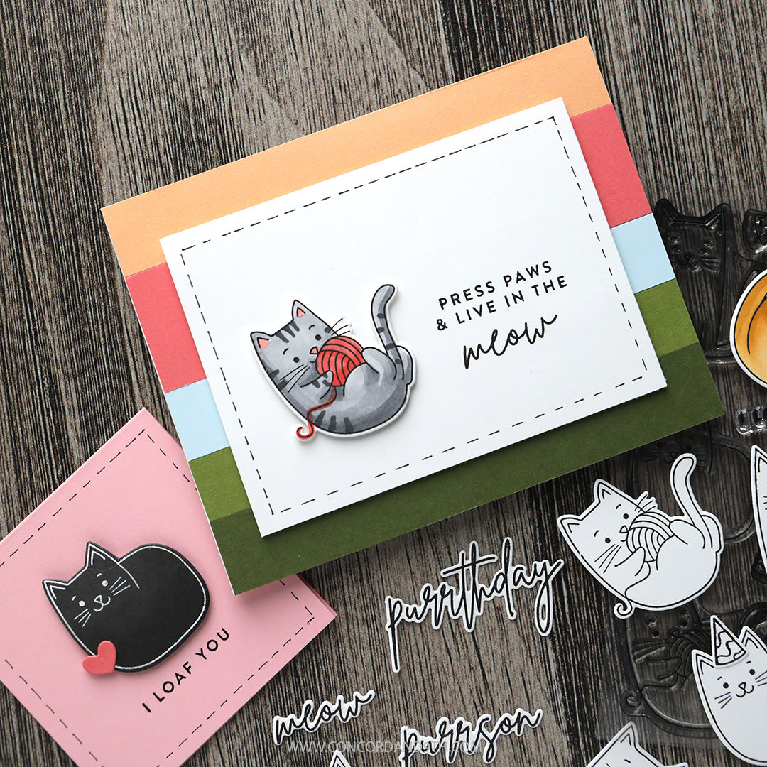 Live in the Meow Stamp Set