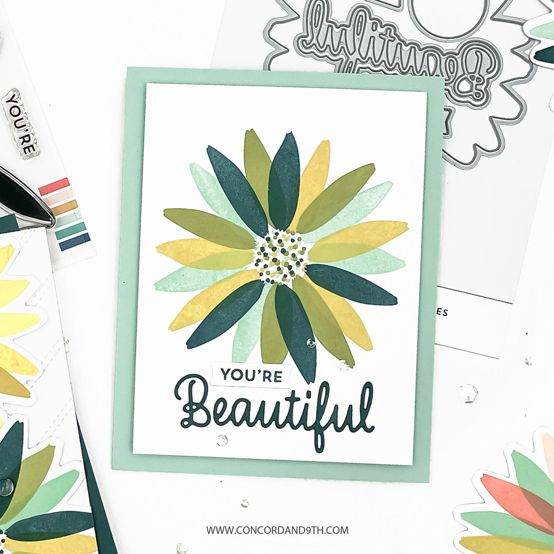 Daisy Bundle