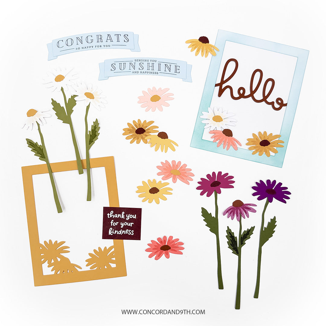 Daisy Delight Bundle