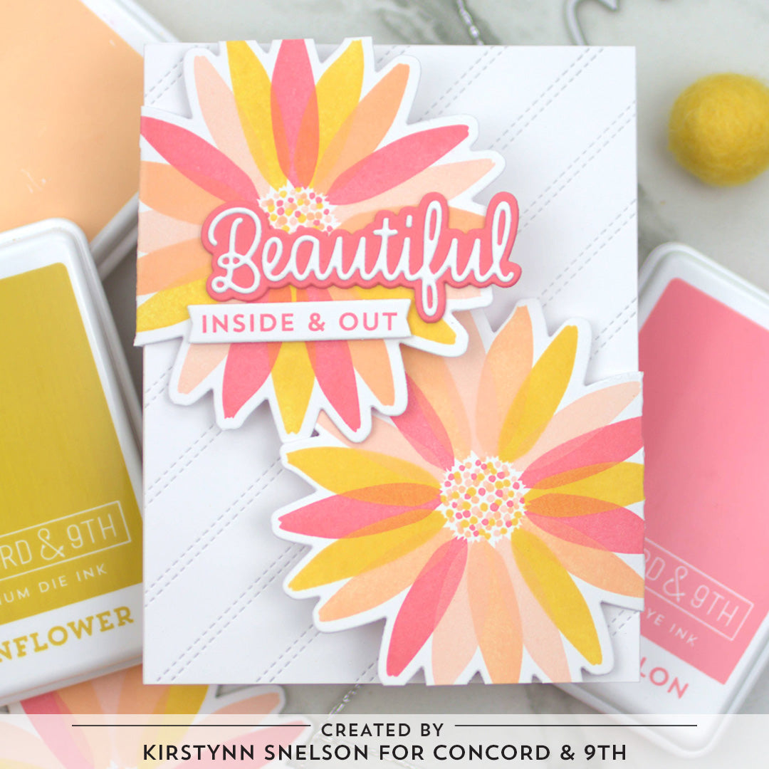 Daisy Bundle