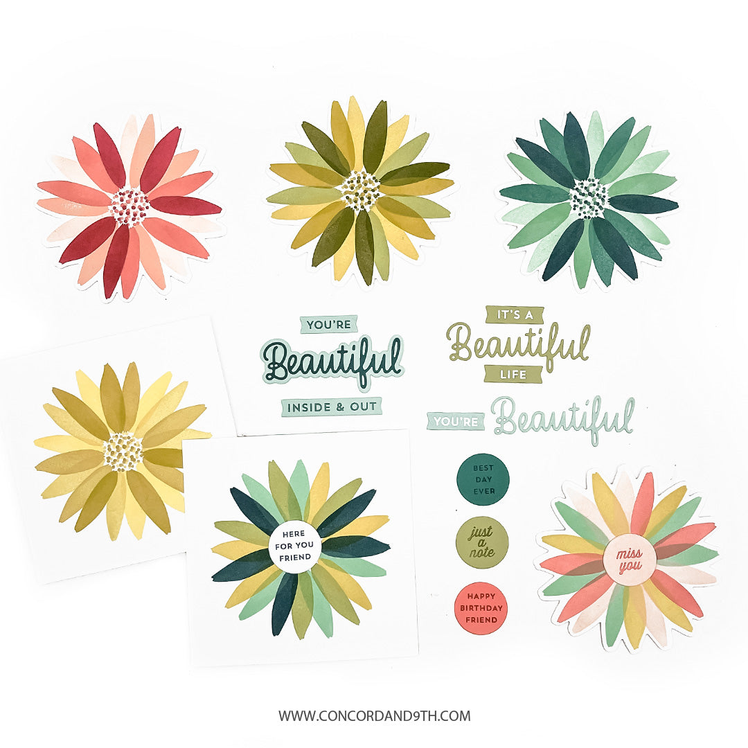 Daisy Bundle