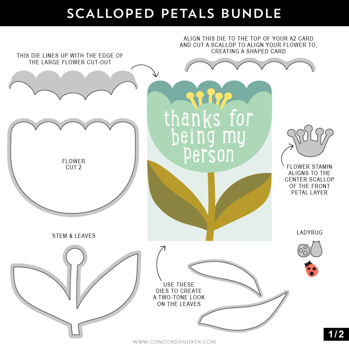 Scalloped Petals Dies