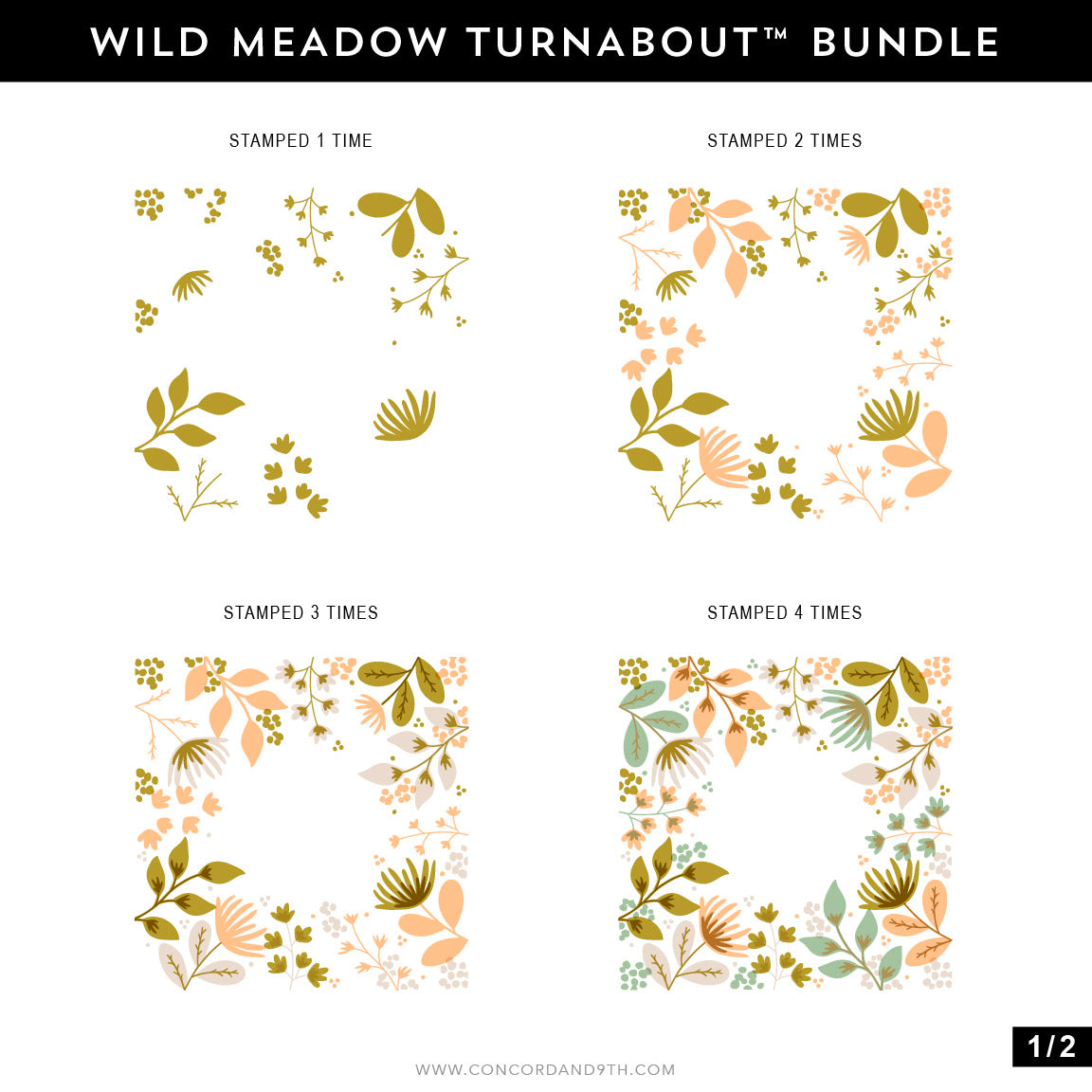 Wild Meadow Dies