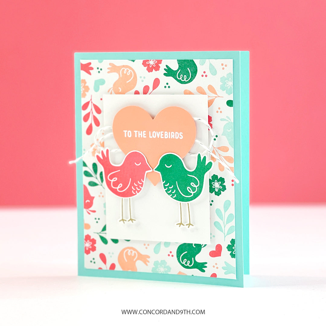 LAST CHANCE: Lovebirds Dies