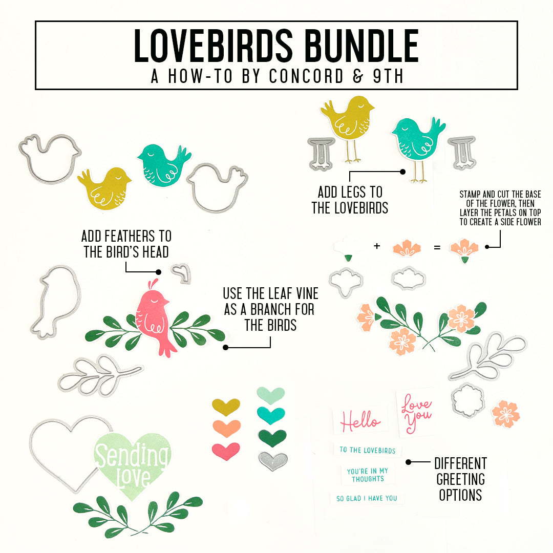 LAST CHANCE: Lovebirds Dies